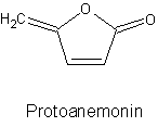 protoanemonin.gif